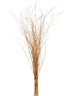 Picture of Birch Large Glitter Gold 36"-48"