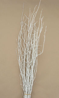 Picture of Birch Large Painted White 36"-48"