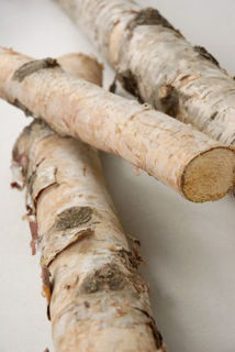 Picture of Birch Poles 2.5 - 3.5 Dia/48" Long