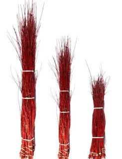 Picture of Dogwood Dark Red Tall 60"-72"