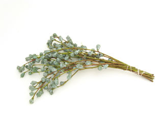 Picture of Eucalyptus Podded Silver Bells Bunch
