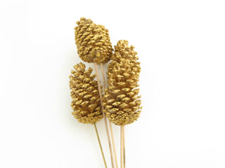 Picture of Pine Cone Reg Glittered Gold
