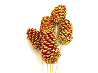 Picture of Pine Cone Reg Red W/ Gold Tip