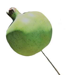 Picture of Pomegranate Green Artificial 18"