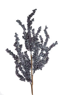 Picture of Berry Spray Dusty Dark Blue 31"  