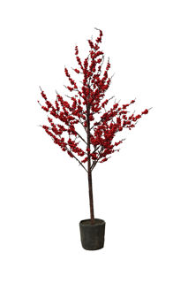 Picture of Winterberry Tree 54"