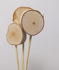 Picture of Birch Mini Lollipop 2-3" On Stem