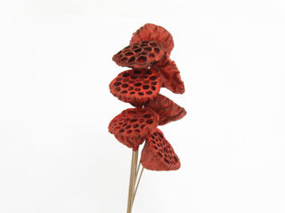 Picture of Lotus Pod Glittered Red