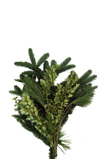 Picture of Sleeved Bouquet-Noble Oregonia Pine