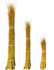 Picture of Dogwood Yellow Tips 24"-36"