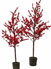 Picture of Winterberry Tree 54"