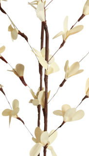 Picture of Blossom Branch Spring Bleached