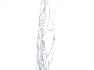 Picture of Birch Large Glitter Silver 36"-48"