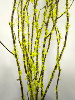 Picture of Birch Large Flocked Chartreuse 36"-48"