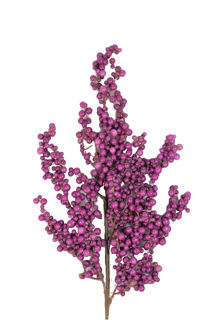 Picture of Berry Spray Purple 32"